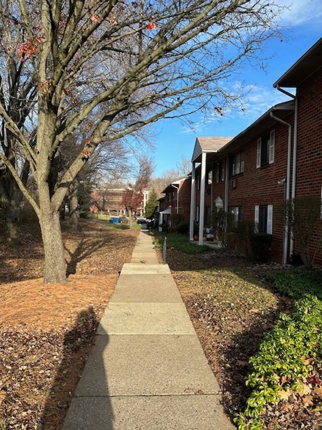 Building Photo - Lovely 2 bedroom in Broomall