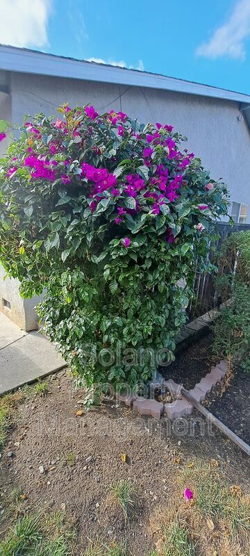 Building Photo - 355 Spindrift Way