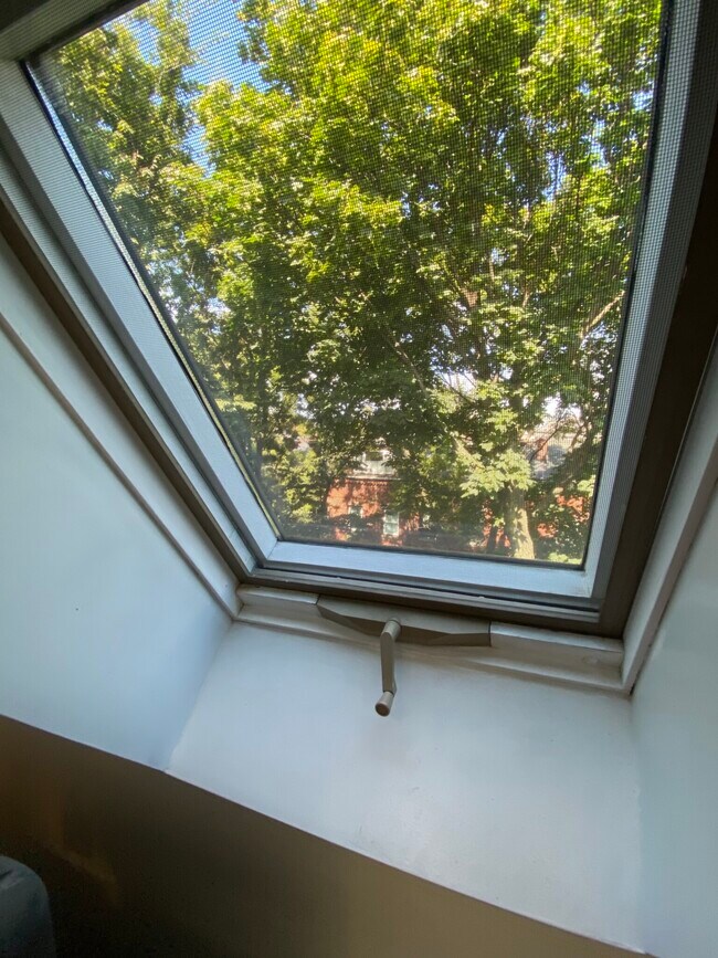 Building Photo - 52 E Springfield St