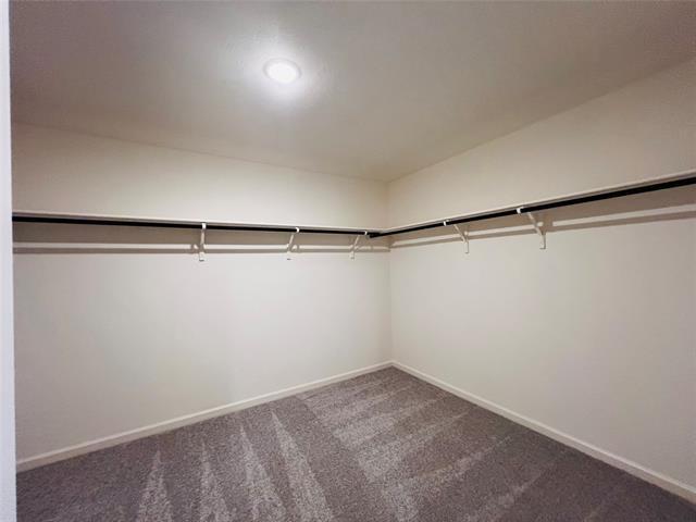 Building Photo - 2217 Pioneer Dr