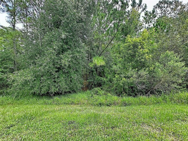 Building Photo - 786 Cielo Trail