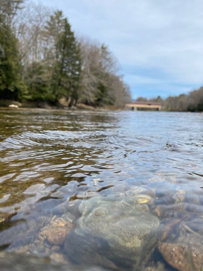 Building Photo - Furnished 2 Bed, 1 Bath home available in Campton!