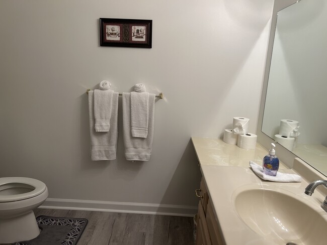 Family suite bathroom - 6245 Iron Bridges Rd