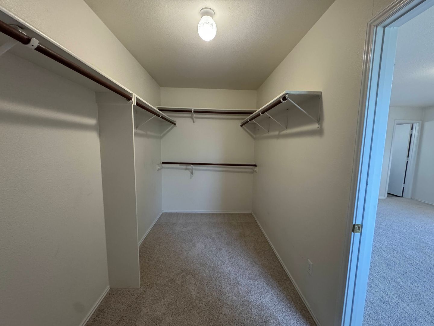 Building Photo - 1204 Bristol Dr