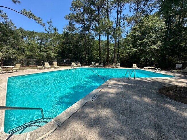 Building Photo - Two Bedroom Renovated South End Condo (Palmetto Bay Villas)!