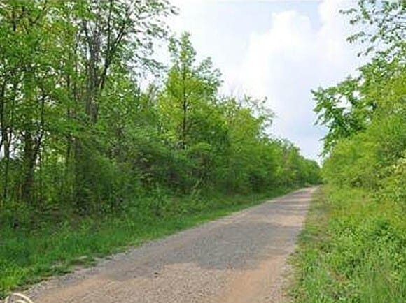 Building Photo - 1579 Streamwood Ct