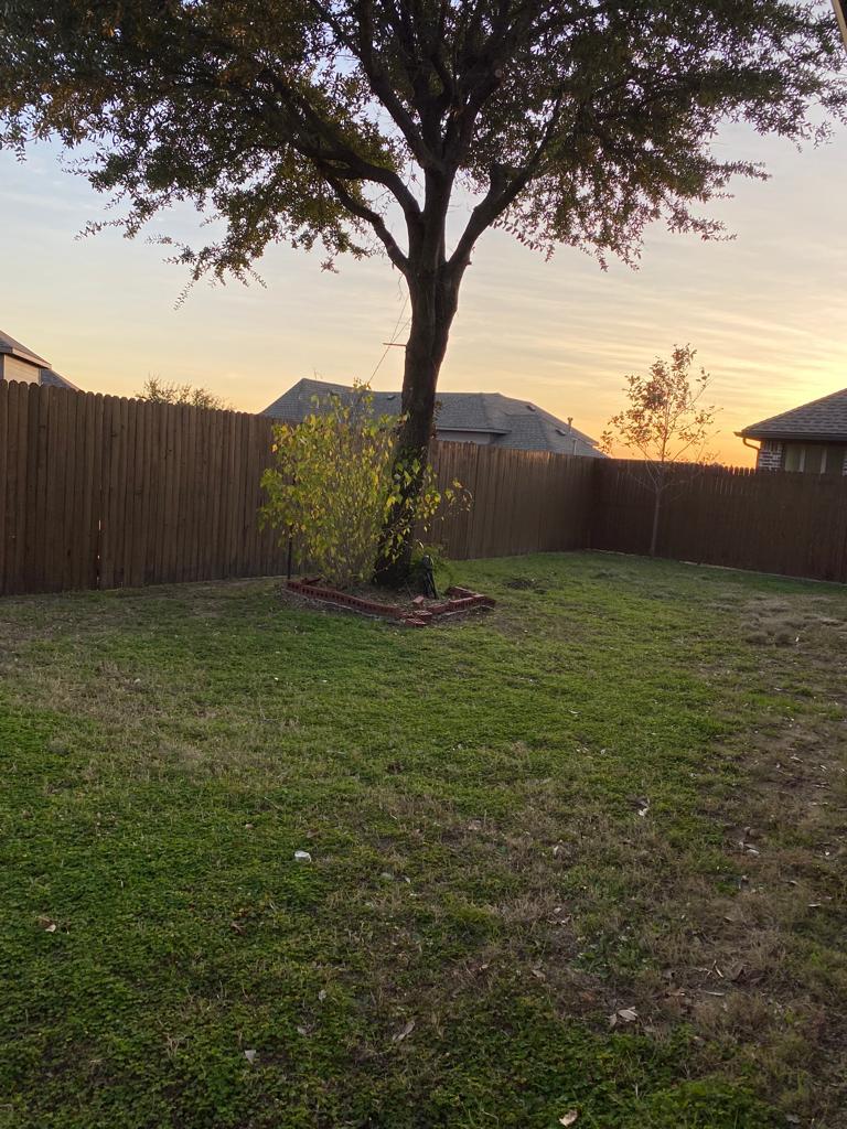 Backyard - 434 Needham Dr