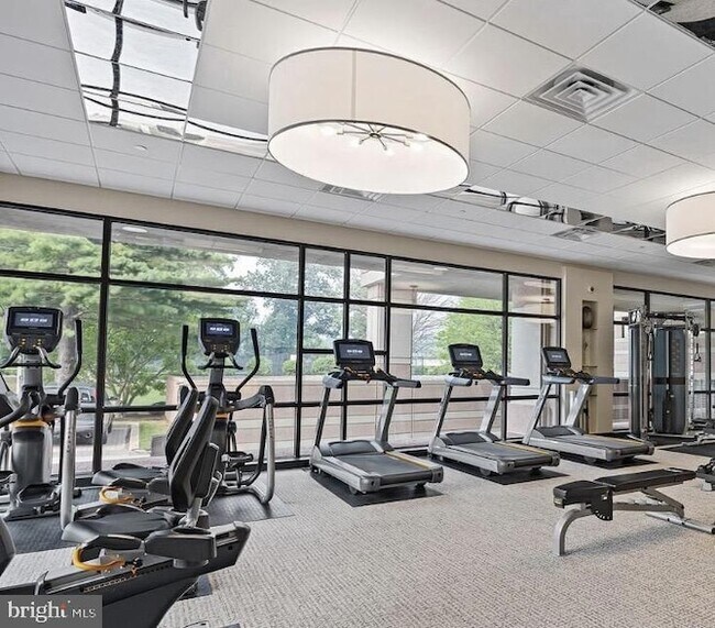 Building Photo - 1100 Lovering Ave