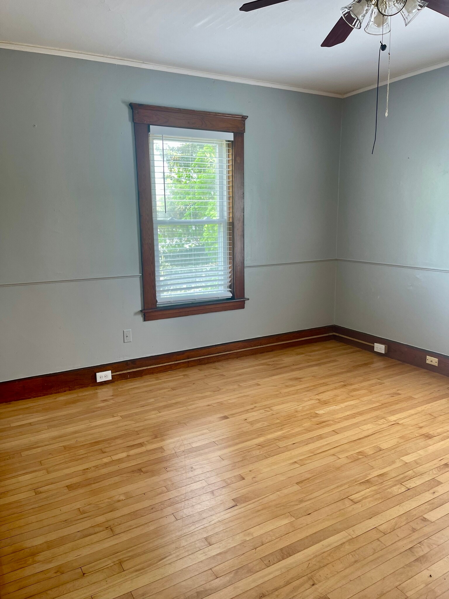 Bedroom 2 - 348 Rollstone St