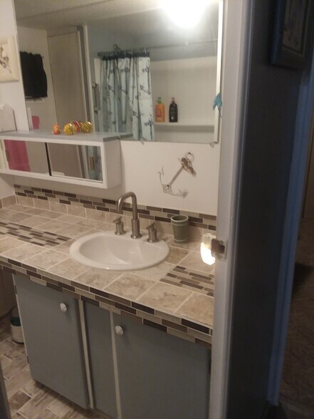 bathroom main remodeled - 30424 Francis St