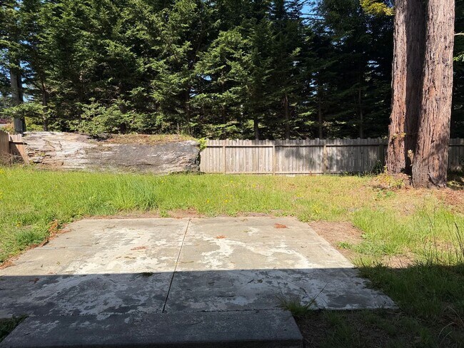 Building Photo - Sunny Cutten House Tier 1