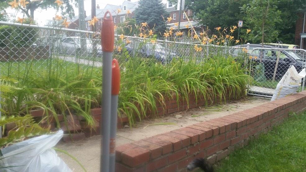 Day lilies in the front yard in Spring! - 3967 Ames St NE