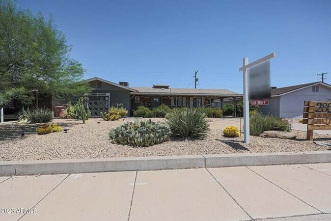 Building Photo - BEAUTIFUL Scottsdale Home