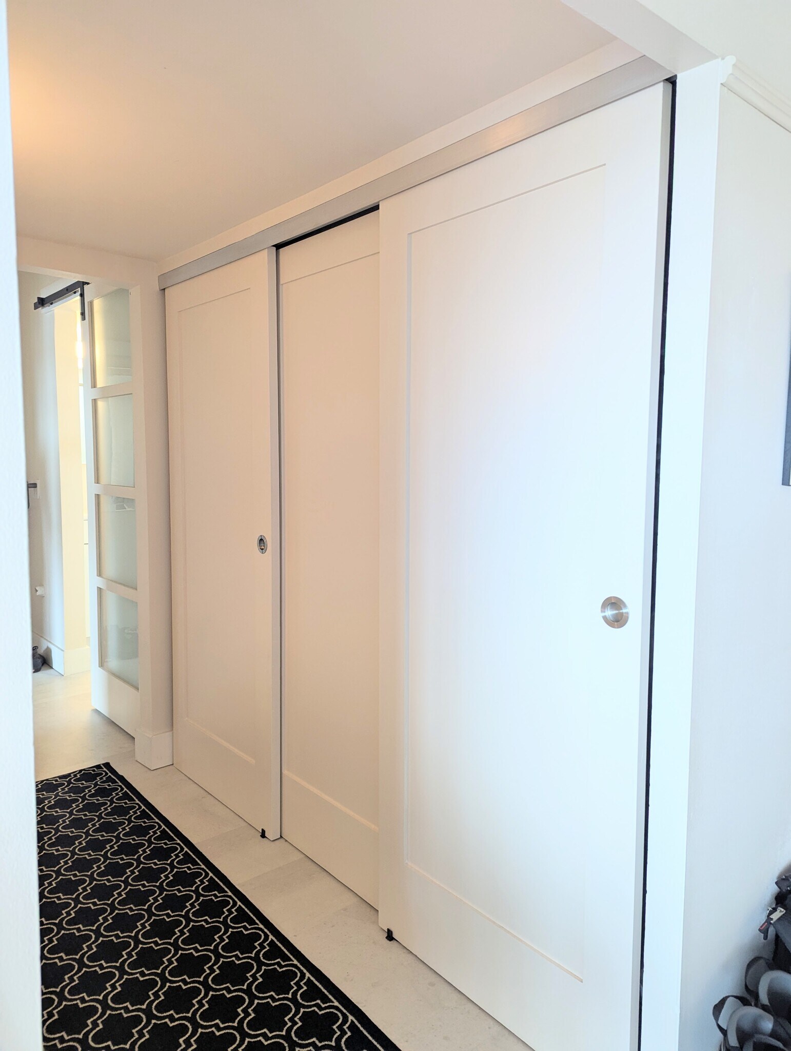 huge hallway closet filledwith Elfa organization - 1200 N Humboldt St