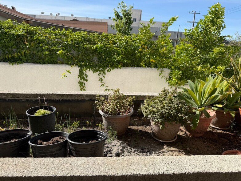Building Photo - 10282 Tujunga Canyon Blvd