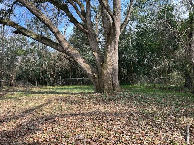 Building Photo - 139 Durant Ave