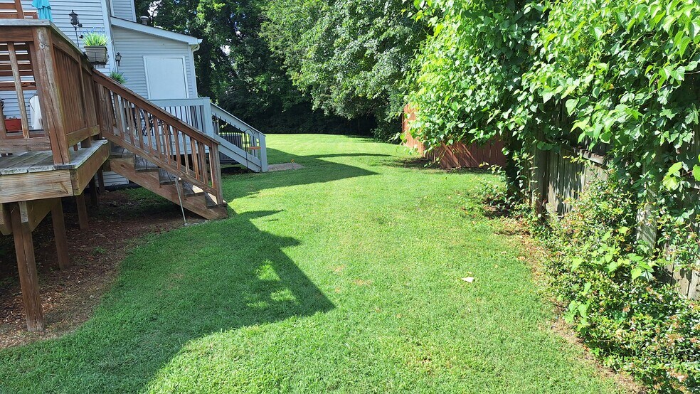 Back garden (summer) - 217 Walton Ferry Rd