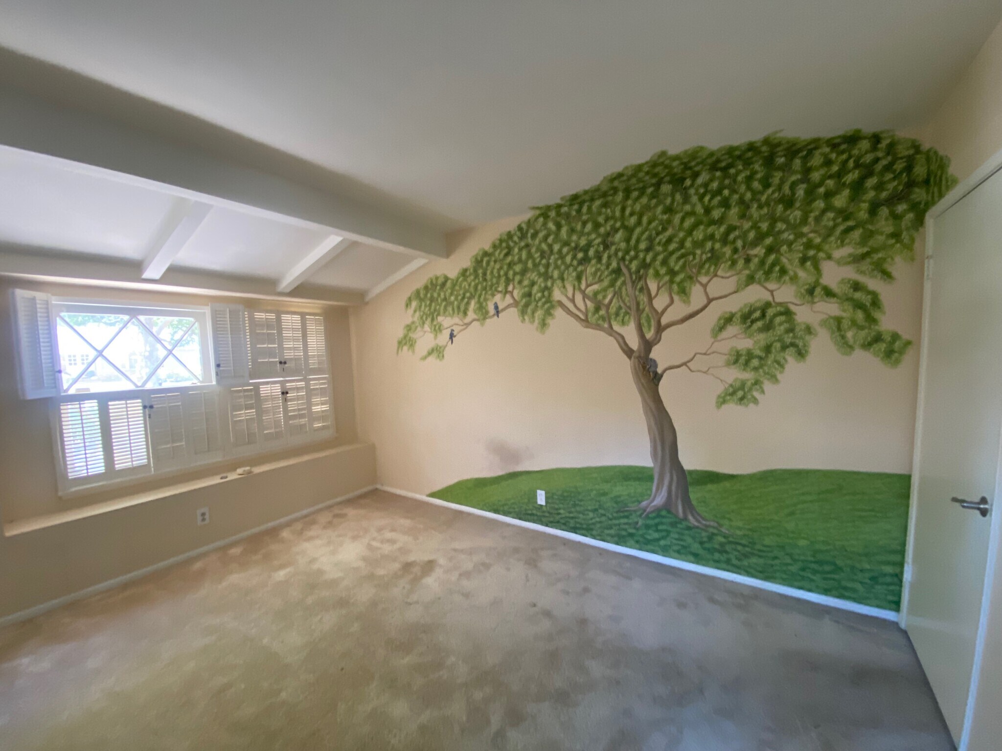 2nd bedroom - 23724 Aetna St