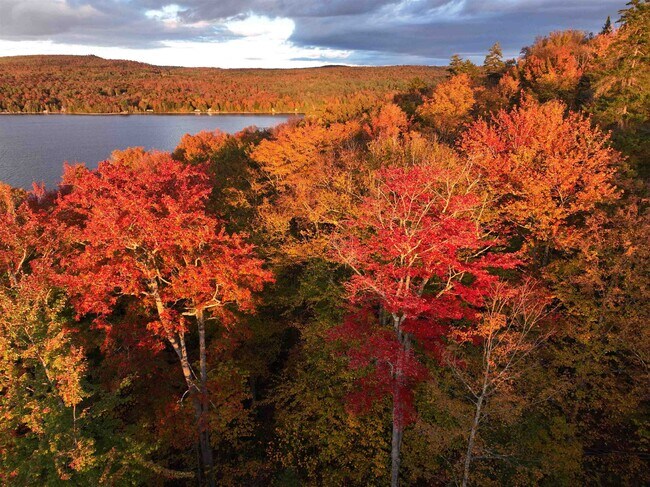 Building Photo - 670 Wayeeses Shore Rd Morgan