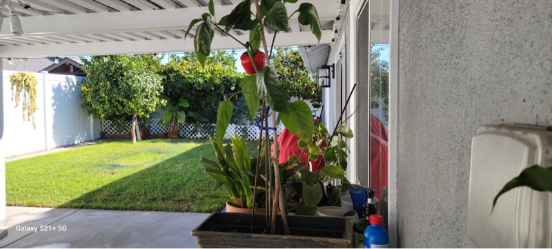 Building Photo - 9621 Telhan Dr