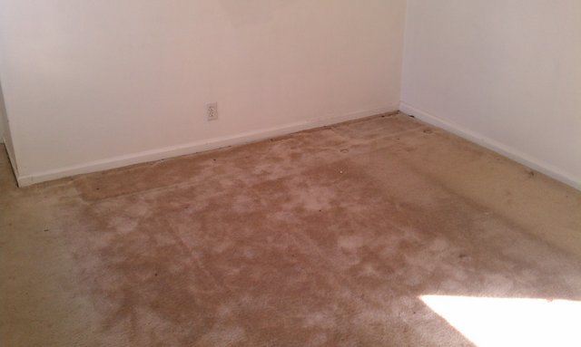 Building Photo - 20127 Sheffield Rd