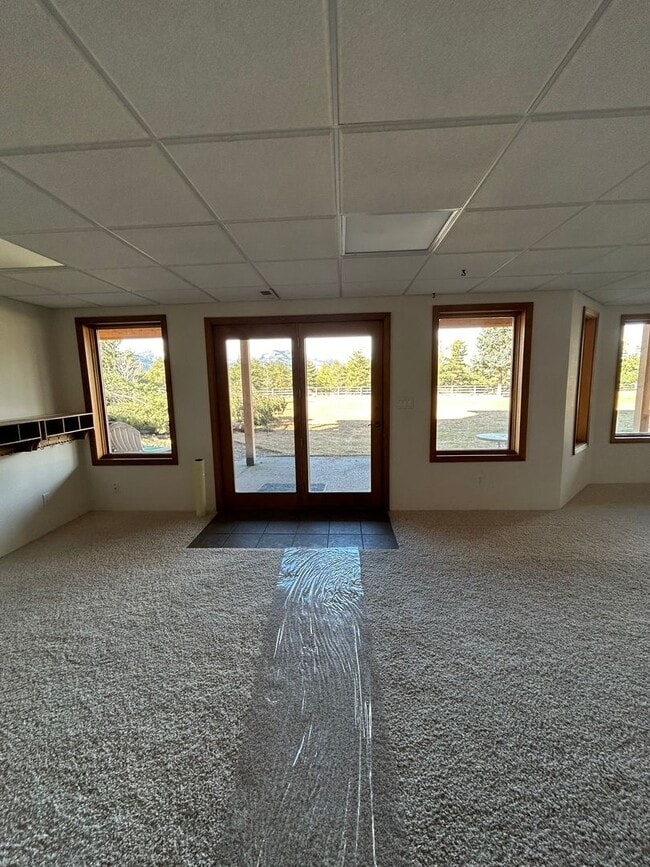 Building Photo - Spacious Daylight Apartment in Hamilton