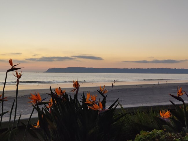 Beach view at Sunset - 1830 Avenida Del Mundo