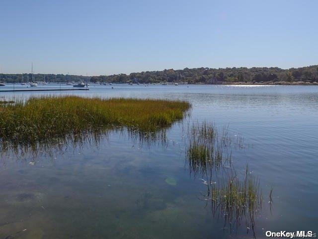 Building Photo - 1 Pine Point
