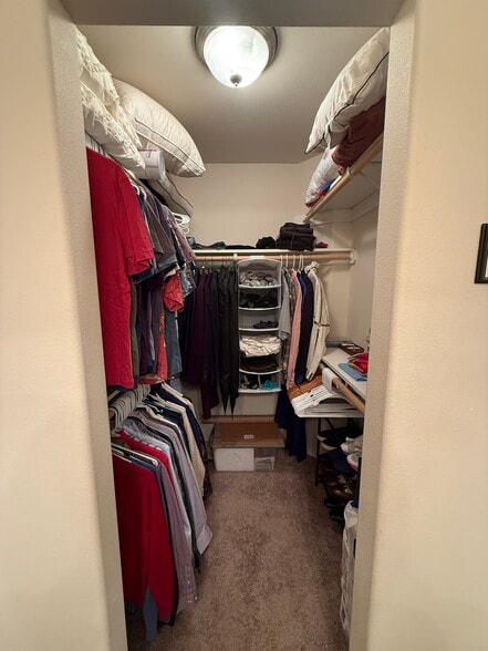Master Closet 02 - 4586 Campbell Park Loop