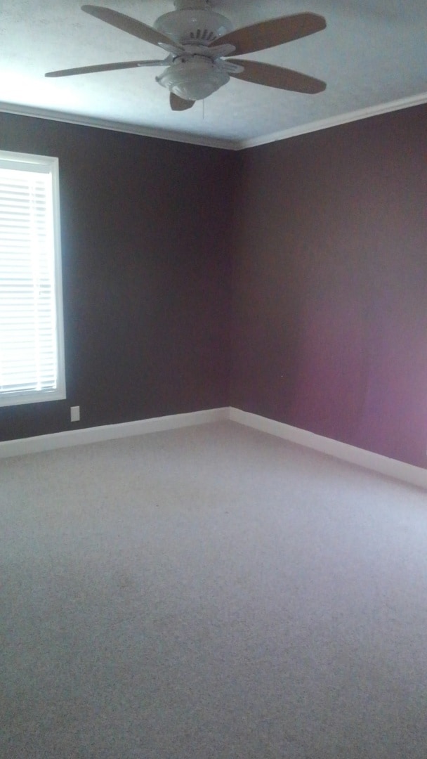 Building Photo - 1309 Woodrow Ave