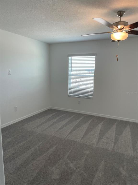 Building Photo - 32077 Powderpuff Mimosa Dr
