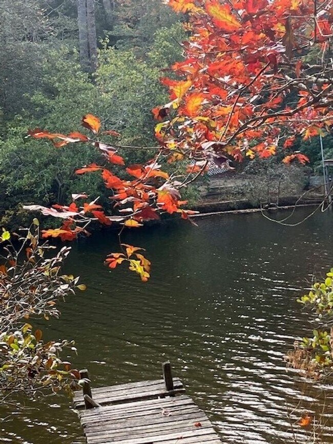 Building Photo - LAKE FRONT PARADISE