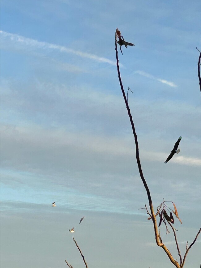 Building Photo - 2149 Rope Maker Rd