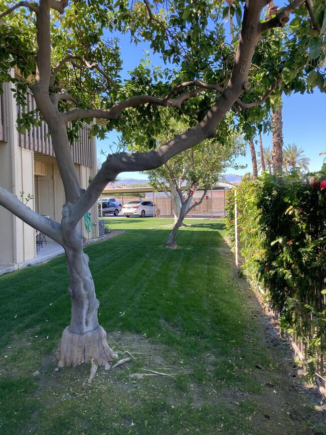 Building Photo - 77805 California Dr