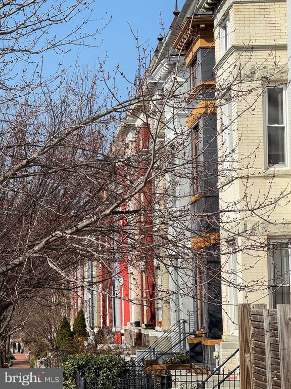 Building Photo - 15 Seaton Pl NW