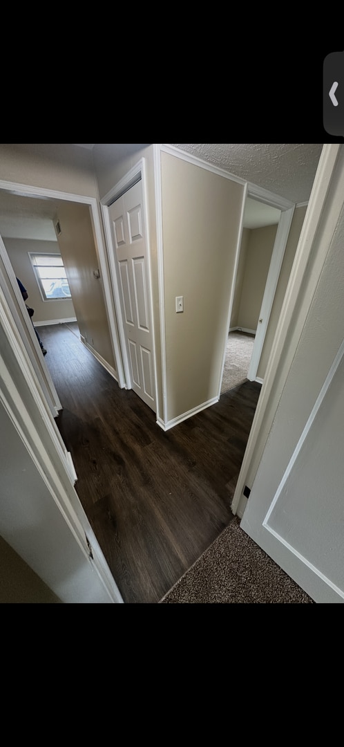 Building Photo - Check out this 3bdr ranch located in Belmont
