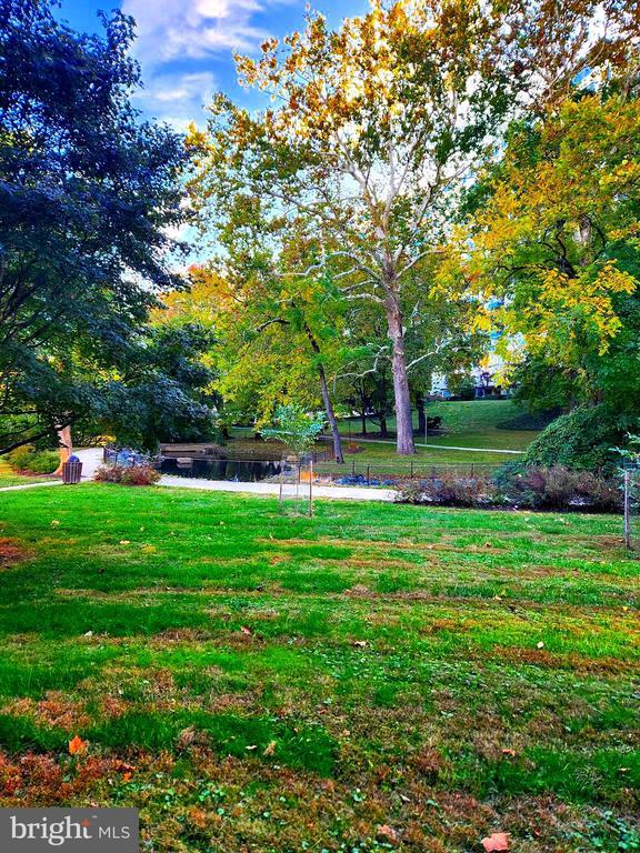 Building Photo - 10320 ROCKVILLE PIK