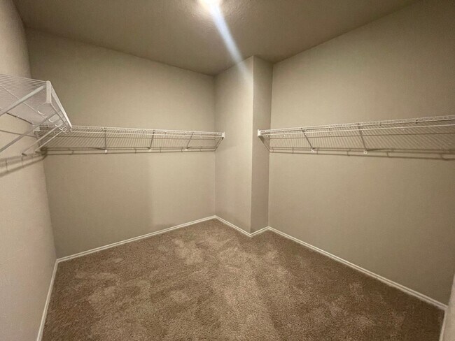 Building Photo - Beautiful 4x2 Rental Home in NBTX!