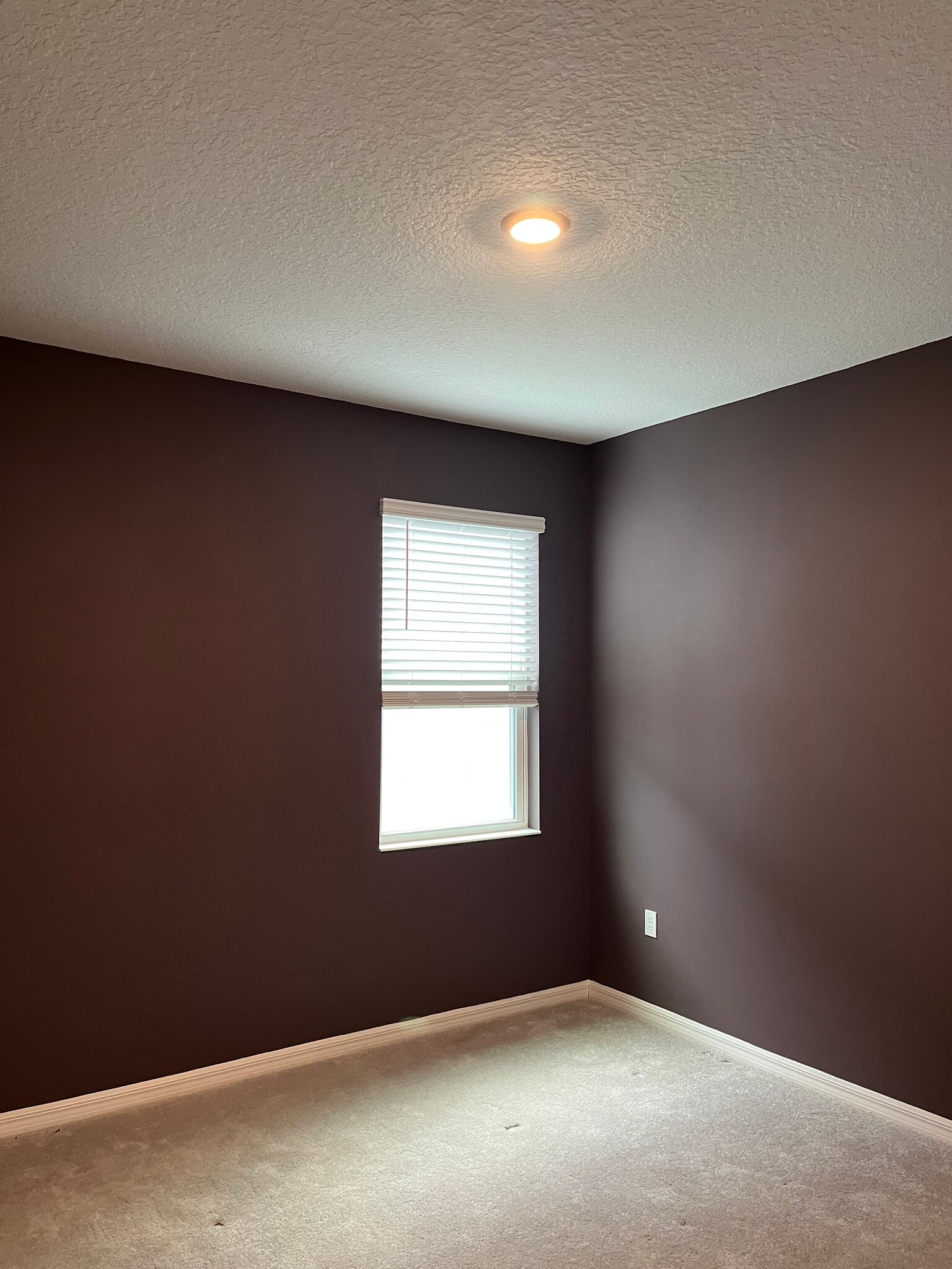 Building Photo - 801 Lemon Ave