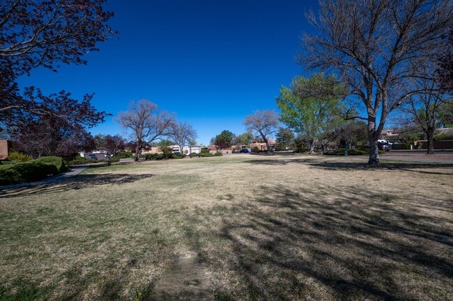 Building Photo - Absolute Gem in Pueblo Alegre (Camino De Chelly)