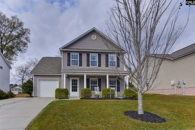 Primary Photo - Chapin home with Community Pool