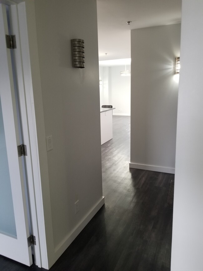 407 Hallway to Livingroom/Kitchen - 123 N Locust St