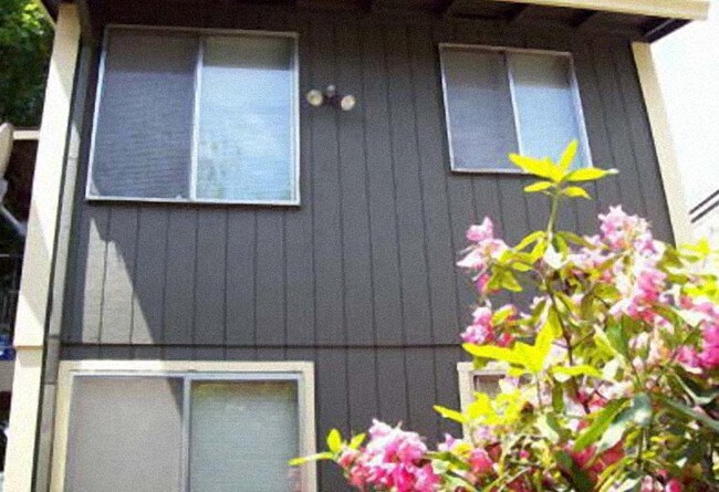 Building Photo - Timber Terrace