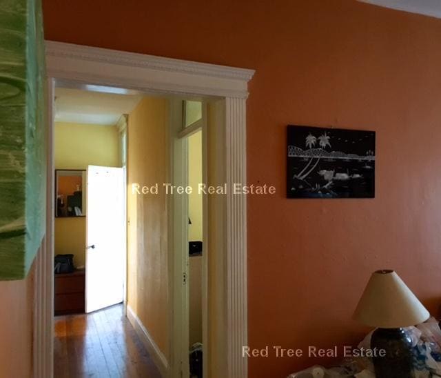 Building Photo - 31 Orkney Rd