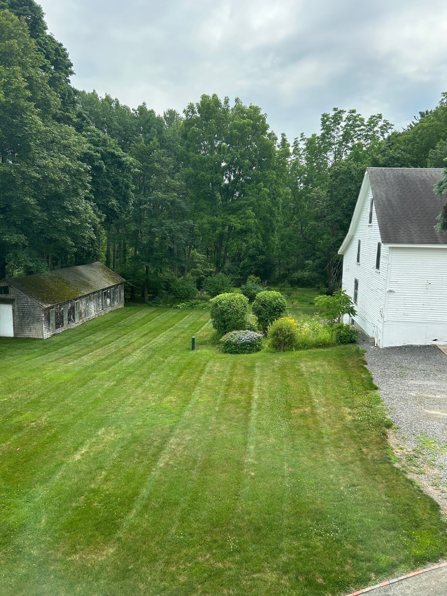 View from Bedroom - 352 Thoreau St
