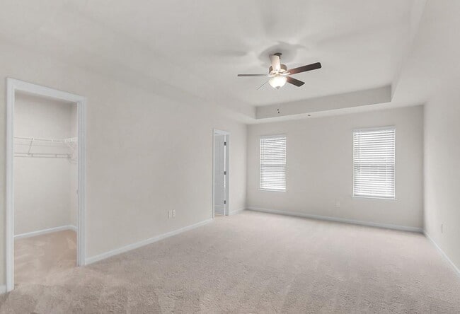Building Photo - 4719 Canary Diamond Ln