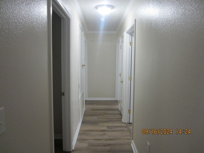 Building Photo - 3BR/2BA Single Family Home in Gulfport.  R...