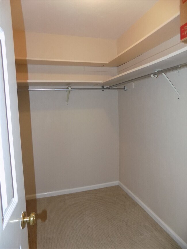Building Photo - 806 Jamestown Ct