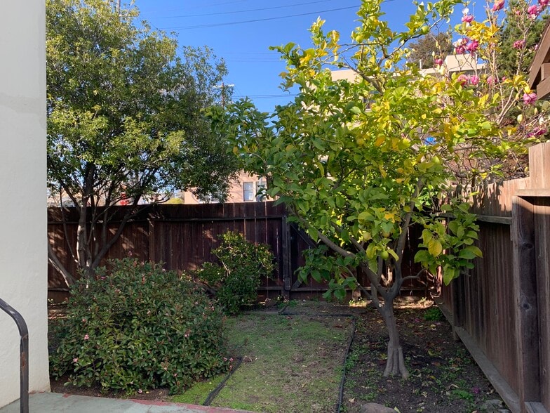 Building Photo - 1903 Sacramento St