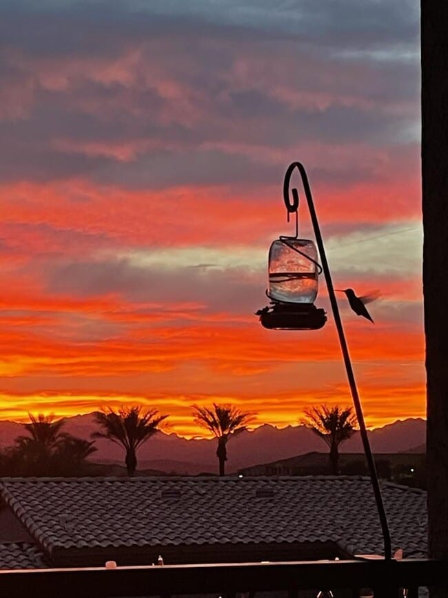 Building Photo - 13700 N Fountain Hills Blvd